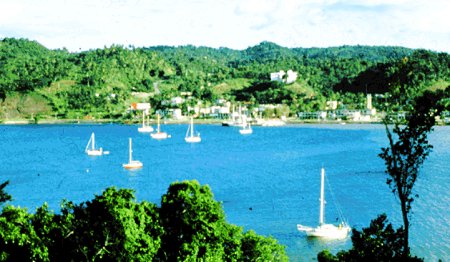 samana-00.jpg